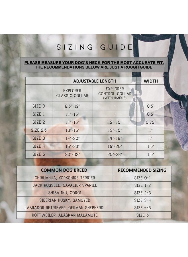 Roam Made to ROAM Premium Dog Collar - Adjustable Heavy Duty Nylon Collar with Quick-Release Metal Buckle (Texas Flair, Classic Size 3) - Image 5