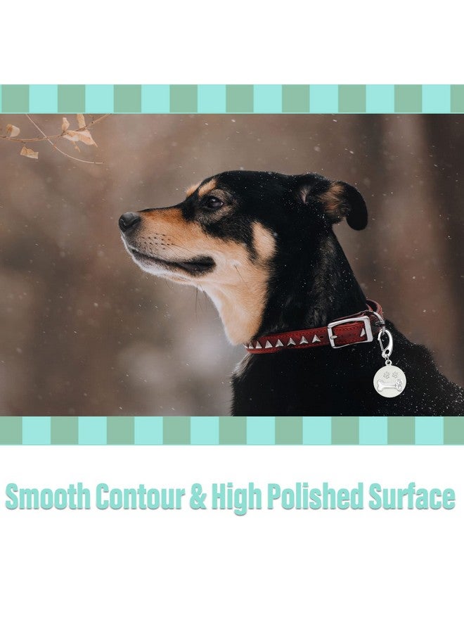 Divoti Leash King Dog Tag/Pet Tag w/Pet Tag Quick Clip Combos- 2 Pairs (4 pcs) of Standard Quick Clips - Entirely sugrical Stainless Steel - Image 2