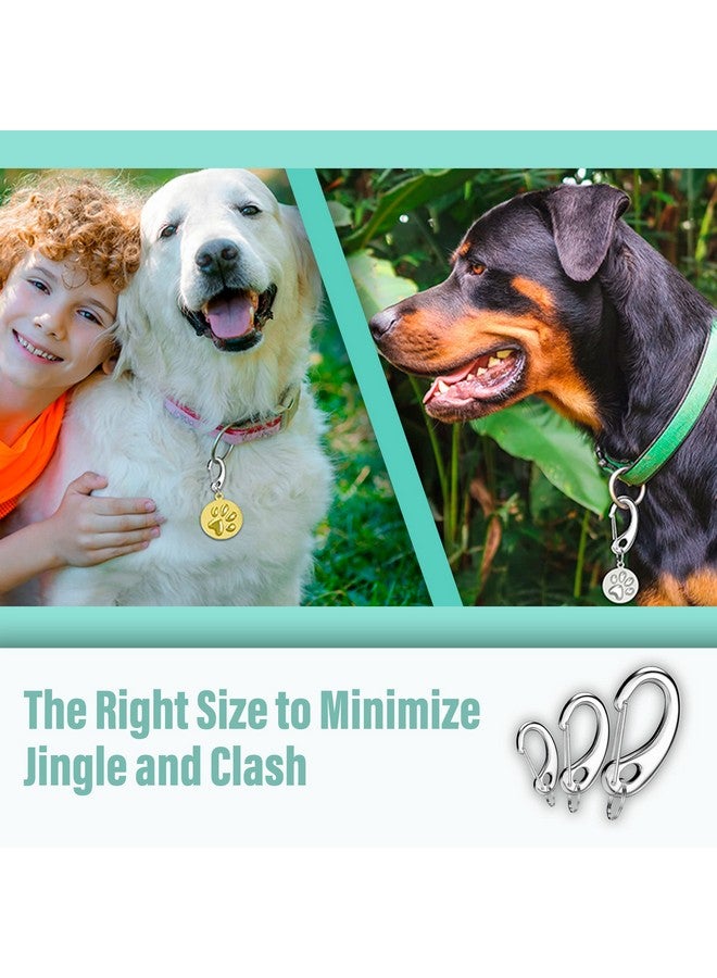 Divoti Leash King Dog Tag/Pet Tag w/Pet Tag Quick Clip Combos- 2 Pairs (4 pcs) of Standard Quick Clips - Entirely sugrical Stainless Steel - Image 4