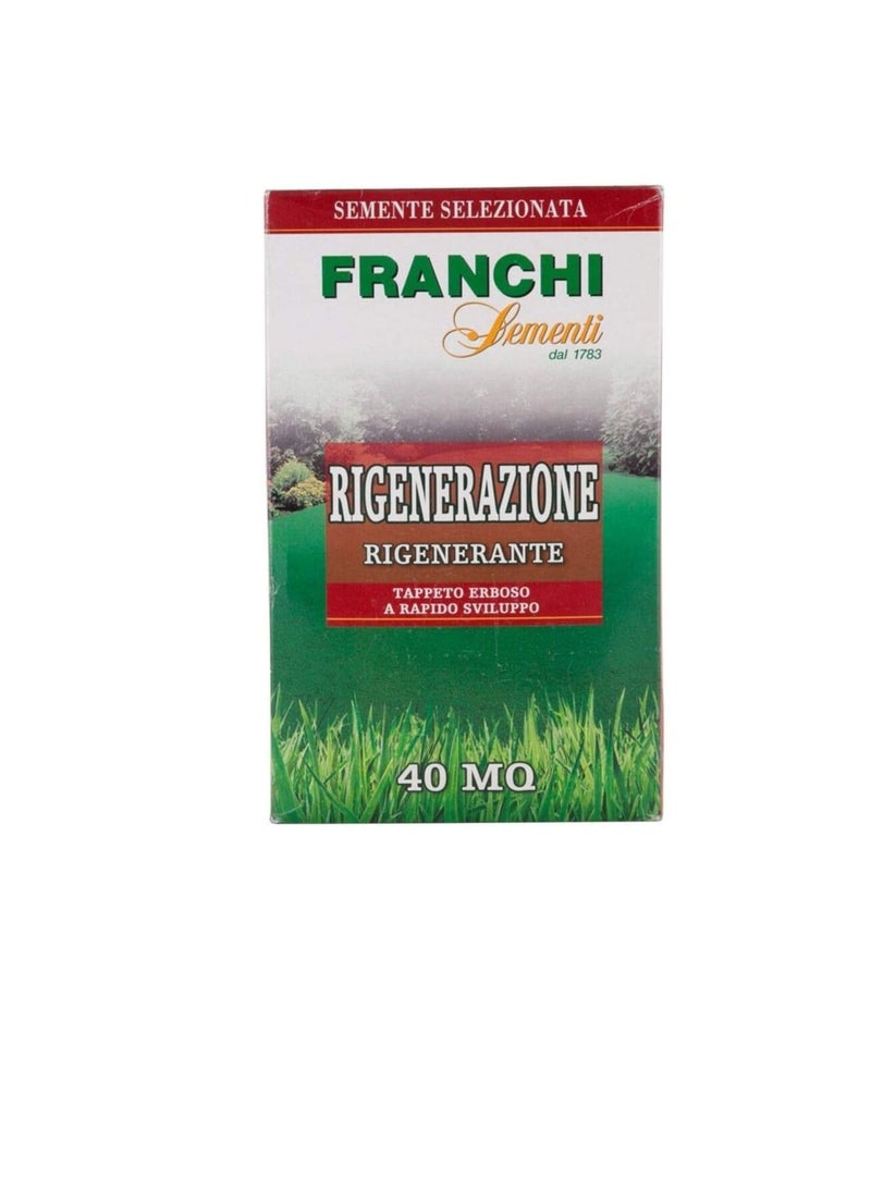 Franchi Franchi Grass Seeds Grows in Extreme Conditions Including Full Sun and Dense Shade  - Image 1
