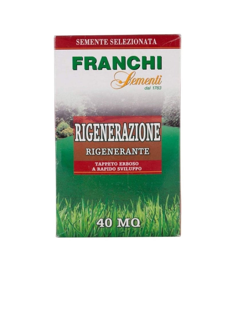 Franchi Franchi Grass Seeds Grows in Extreme Conditions Including Full Sun and Dense Shade  - Image 2