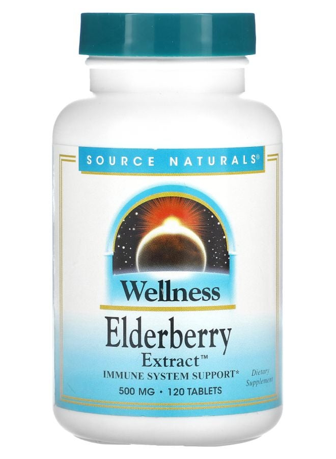 Wellness Elderberry Extract 500 mg 120 Tablets (166 mg per Tablet)