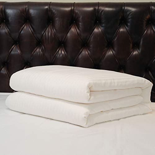 CUDDLE DREAMS Silk Comforter for Winter, 100% Long-Strand Silk Filling, Natural & Breathable (Kids/Toddler Size) - Image 2