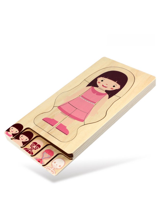 Koryo Baby Boys Girls Body Structure Puzzle Multi-layer 0.5 Wooden Children's Educational Toys Laser Engraving-Color:GLBB-Boy's Body Puzzle - Image 4