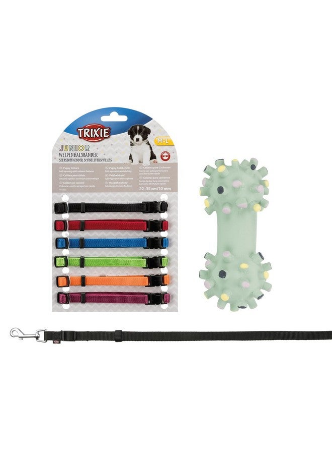 Trixie Gift Box For Small Dog | Ultimate 3-In-1 Box | Puppy Leash, Set Of 6 Puppy Collars Fully Adjustable, Waterproof, And Mini Dumbbell Soundless Dog Chew Toy | Small Gift Box - Image 1