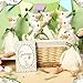 Blueweenly 8 Sets One Silly Goose Birthday Decoration 157 Inch Soft Silly Goose Stuffed Animal Hat with Wood Table Decor for Birthday Party Decoration - Image 4
