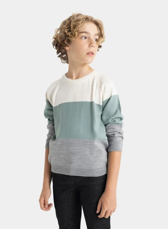 ديفاكتو Color Block Regular Fit Crew Neck Knit Sweater by Styli