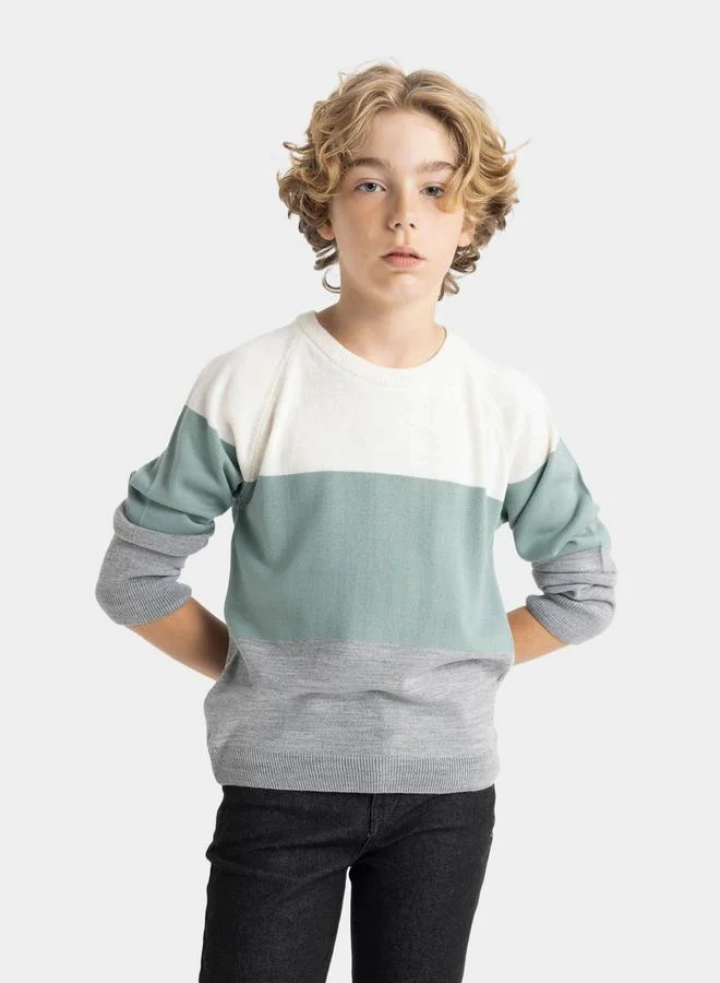 ديفاكتو Color Block Regular Fit Crew Neck Knit Sweater by Styli