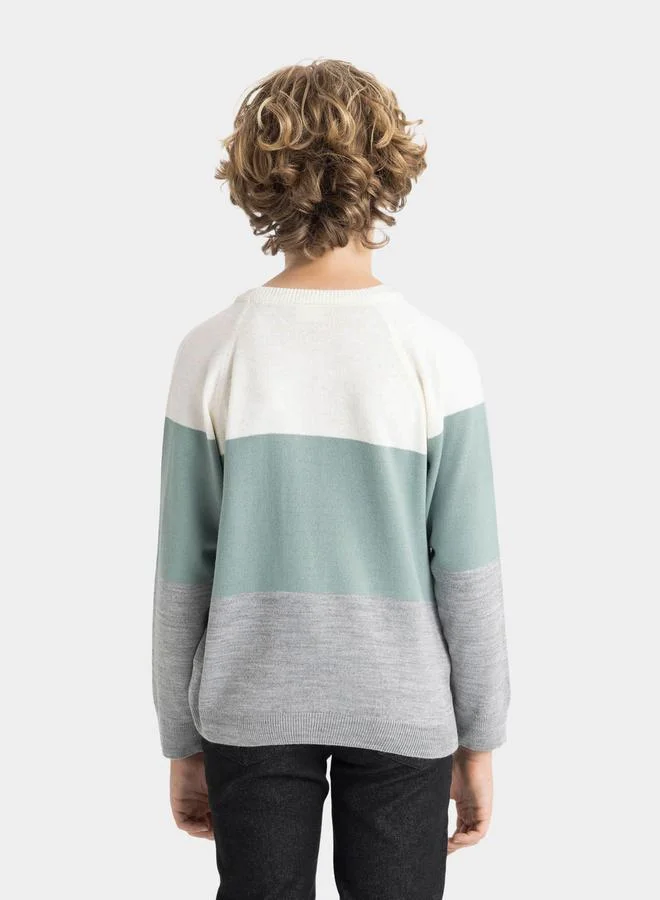 ديفاكتو Color Block Regular Fit Crew Neck Knit Sweater by Styli