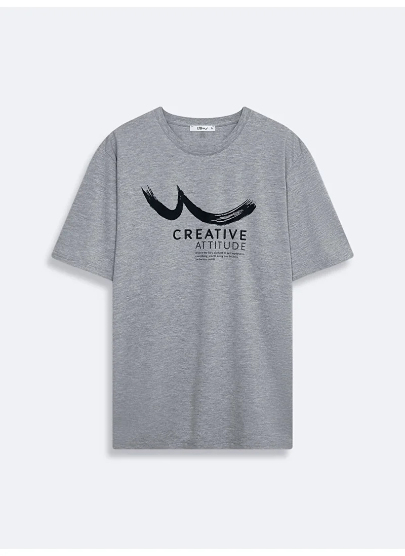 LTB Gray T-Shirt