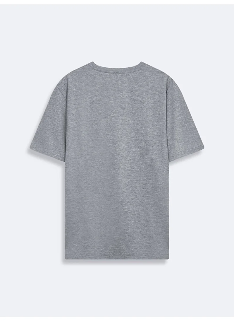 LTB Gray T-Shirt