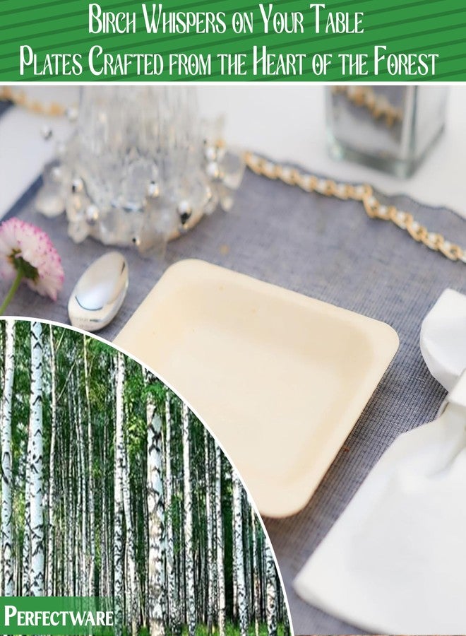 Perfectware Earth Friendly All Natural Premium Quality 100% Compostable & Biodegradable 5 Inch Birch Wood Disposable Plates. Great for Parties, Wedding Events (5.5" x 5.5" Appetizer Plate) 25 pc - Image 3