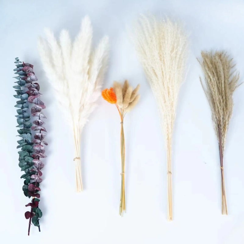 Bluejw Eco-Friendly Extra Remarkable Dried Flower Bouquet – Natural Preserved Dried Plants for Christmas Groom's Bouquet, Sustainable & Long-Lasting Decor - Image 5