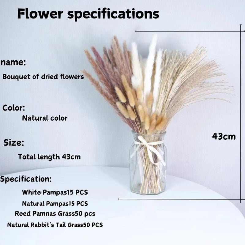 Bluejw Eco-Friendly Extra Remarkable Dried Flower Bouquet – Natural Preserved Dried Plants for Christmas Groom's Bouquet, Sustainable & Long-Lasting Decor - Image 1