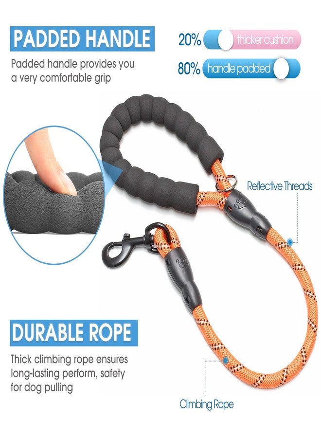 BAAPET 2/4/5/6 FT Dog Leash with Comfortable Padded Handle and Highly Reflective Threads for Small Medium and Large Dogs (2FT-1/2'', Orange) - Image 2