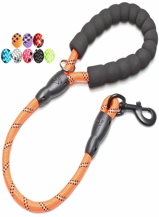 BAAPET 2/4/5/6 FT Dog Leash with Comfortable Padded Handle and Highly Reflective Threads for Small Medium and Large Dogs (2FT-1/2'', Orange) - Image 1
