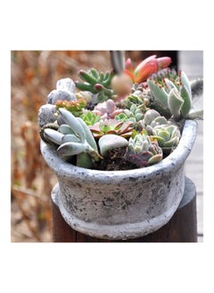 NIBEMINENT Flower Pot Bird Feeder Retro Statue Grey  - Image 4