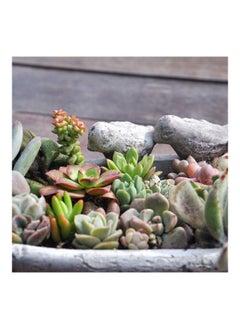 NIBEMINENT Flower Pot Bird Feeder Retro Statue Grey  - Image 3