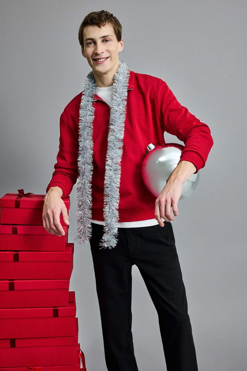 Regular Fit Half Zip Stand Collar Basic Sweatshirt