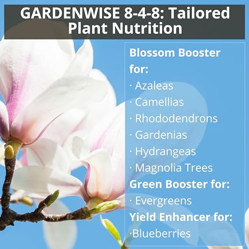 GARDENWISE 8-4-8 Acidic Fertilizer for Azaleas, Camellias (Camelia), Hydrangeas, Blueberries, Gardenias, Magnolia Trees, Evergreens, and Rhododendrons - Ideal Iron-Rich Plant Food (12 OZ) - Image 4