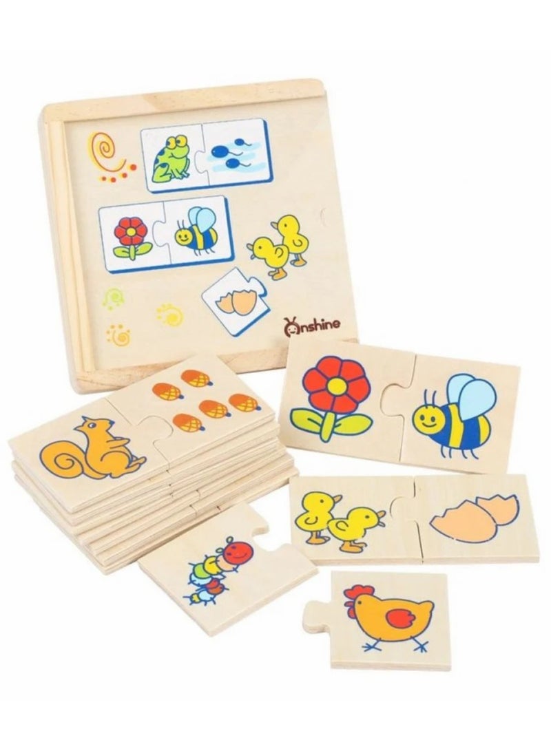 Image Association Learning Box – Educational Thinking Skills Game for Kids