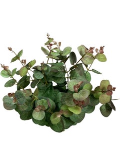 Cihan Çiçekçilik Lux Green Eucalyptus 20 Branches Bunch 50 cm  - Image 4