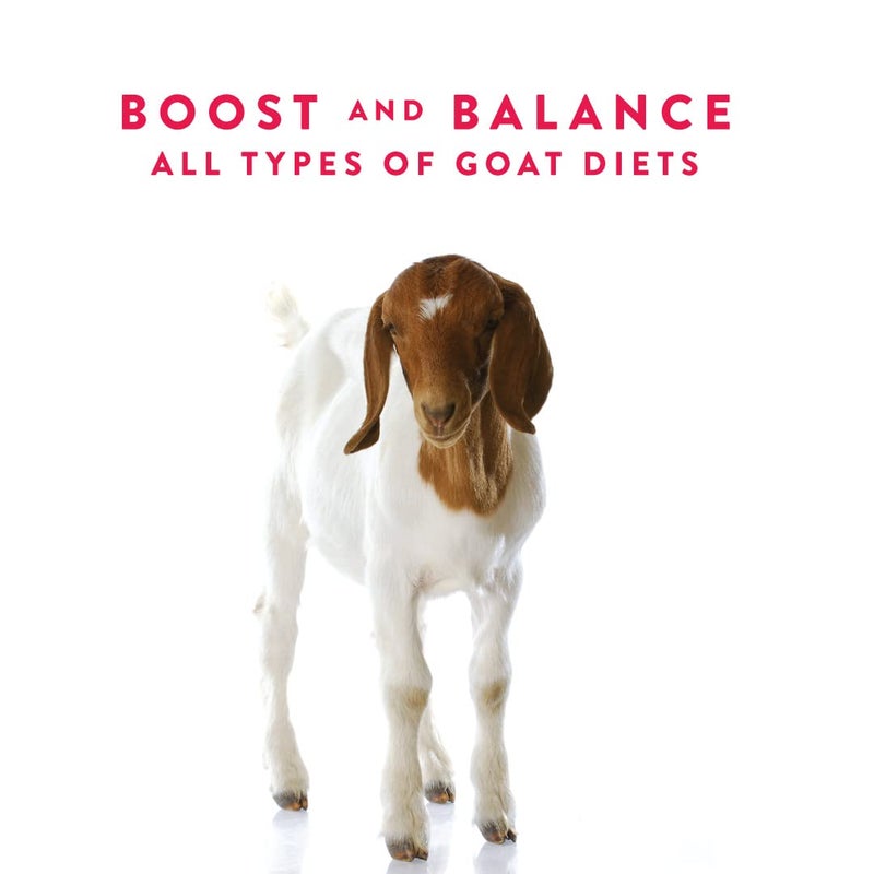 Manna Pro Goat Balancer, Comprehensive Supplement for Meat and Dairy Goats, Supports Overall Health, Boosts Nutrition and Digestive Balance, Promotes Growth and Productivity, 10 Pounds - Image 3