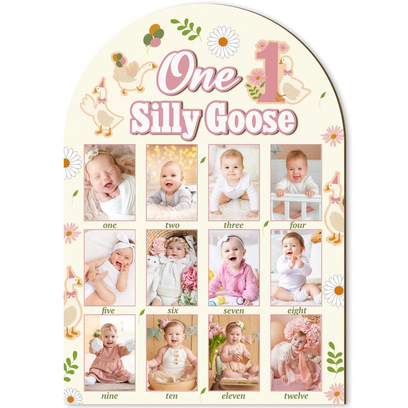 أر هورس R HORSE My First Year Photo Frame Board 3D One Silly Goose عيد ميلاد زينة عرض لوح خشبي طفل السنة الأولى إطار الصورة 12 شهرًا معلمًا لعيد الميلاد الأول هدية ديكور الحضانة لصبي فتاة - Image 1