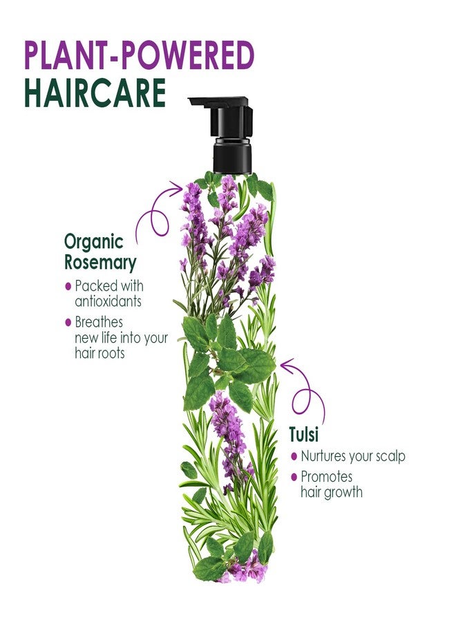 كيش كينج شامبو كيش كينج العضوي بإكليل الجبل والريحان، شامبو مضاد لتساقط الشعر لنمو شعر أقوى وإصلاح التلف، خالٍ من الكبريتات ومستخلص من الطب الأيورفيدي، 300 مل - Image 2