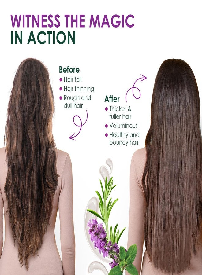 كيش كينج شامبو كيش كينج العضوي بإكليل الجبل والريحان، شامبو مضاد لتساقط الشعر لنمو شعر أقوى وإصلاح التلف، خالٍ من الكبريتات ومستخلص من الطب الأيورفيدي، 300 مل - Image 4