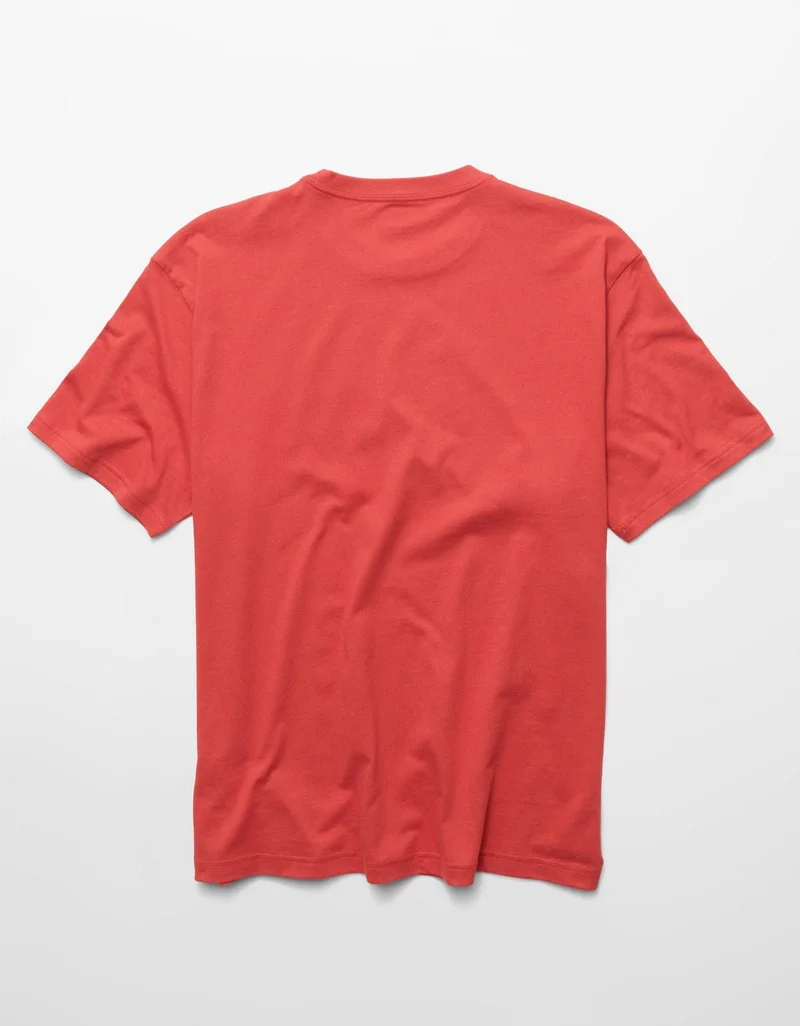 American Eagle  AE Standard Fit Graphic Logo T-Shirt for Men | Best Price UAE