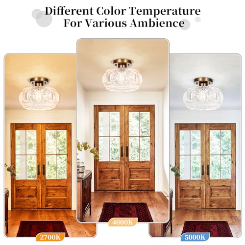 OYKYOHEI Semi Flush Mount Ceiling Light, Globe Glass Ceiling Light Fixture, Antique Bronze Modern Lighting for Hallway Bedroom Entryway Kitchen Porch, Bulb Not Included - Image 5