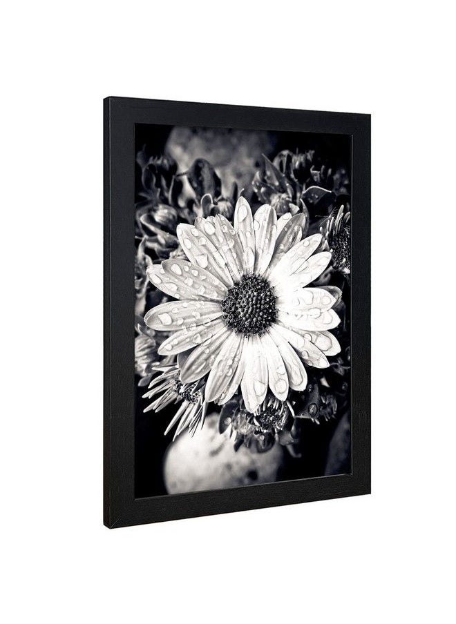 Poster Frame 11×17 Inch Wooden Picture Frames Set Black Certificate Frame Wall Mounting Type For Gallery Office Home - pzsku/Z2238527024F3E40A2B4BZ/45/_/1693486587/750b5cfa-9b70-49cf-bc11-96df7635a000