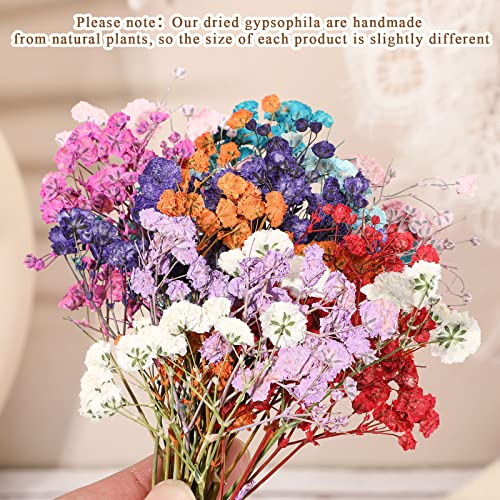 Woanger 200 Pcs Mini Dried Baby's Breath Flowers Real Natural Pressed Bulk Baby's Breath Flowers Gypsophila Bouquet & Branches-gypsophila for Wedding, Card Making, Resin Art, DIY, Bulk, 10 Color - Image 3