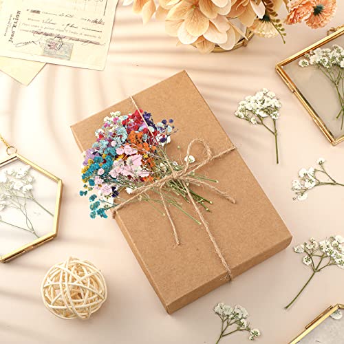 Woanger 200 Pcs Mini Dried Baby's Breath Flowers Real Natural Pressed Bulk Baby's Breath Flowers Gypsophila Bouquet & Branches-gypsophila for Wedding, Card Making, Resin Art, DIY, Bulk, 10 Color - Image 5