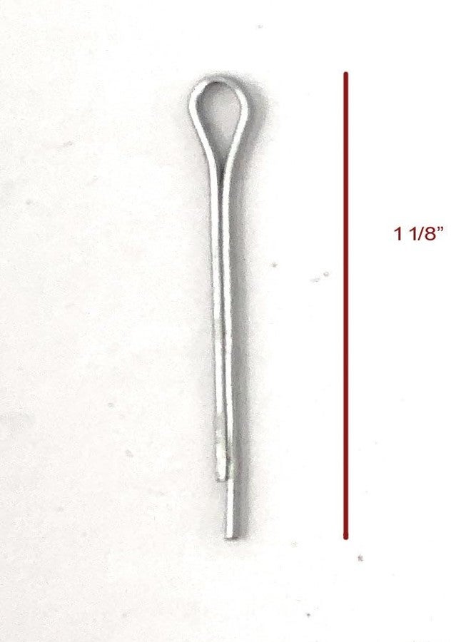 AJ Tack 6 Point Rosebud Rowel Package - Image 3