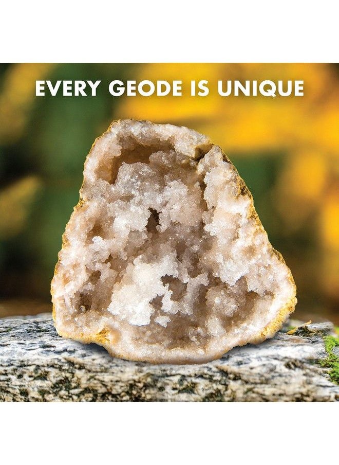 Discover with Dr. Cool - Break Open 2 Jumbo Geodes Break Your Own Large Geode With Crystals Earth Science Kit For Kids To Learn Geology Gifts For Rock Collectors Cool Rocks For Boys And Girls - Image 1
