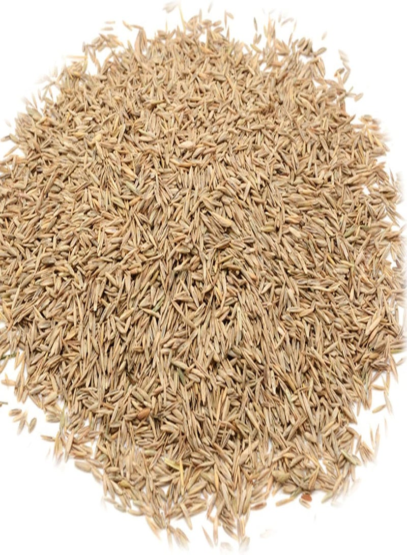 GGOOT 100Pcs Sagina Seeds Healthy Nutritious Special Moss Plant Sagina Subulata Seeds for Garden Plant Garden Seeds Seed - Image 3