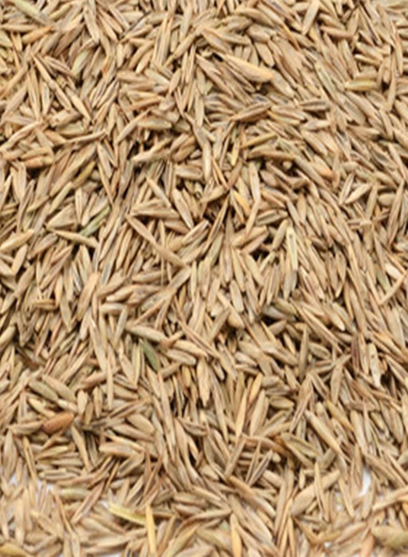 GGOOT 100Pcs Sagina Seeds Healthy Nutritious Special Moss Plant Sagina Subulata Seeds for Garden Plant Garden Seeds Seed - Image 4