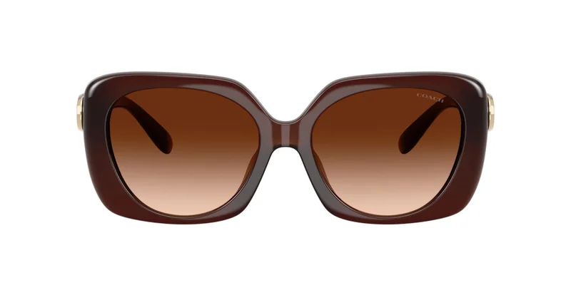 COACH Coach Woman Injected Sunglasses