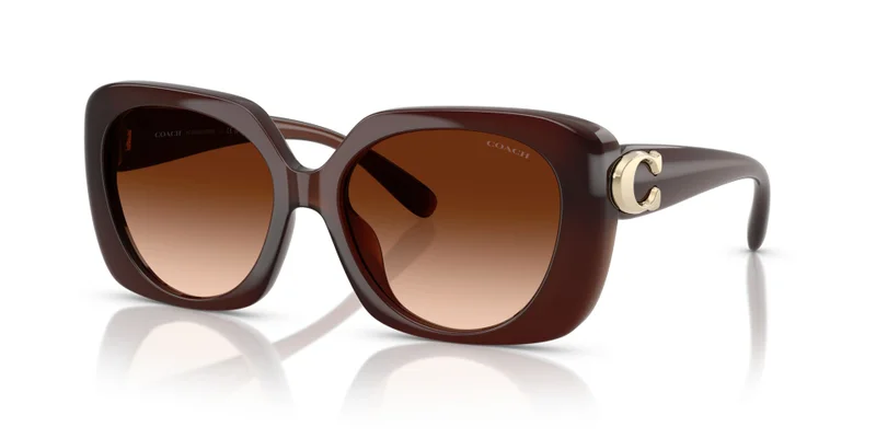 COACH Coach Woman Injected Sunglasses