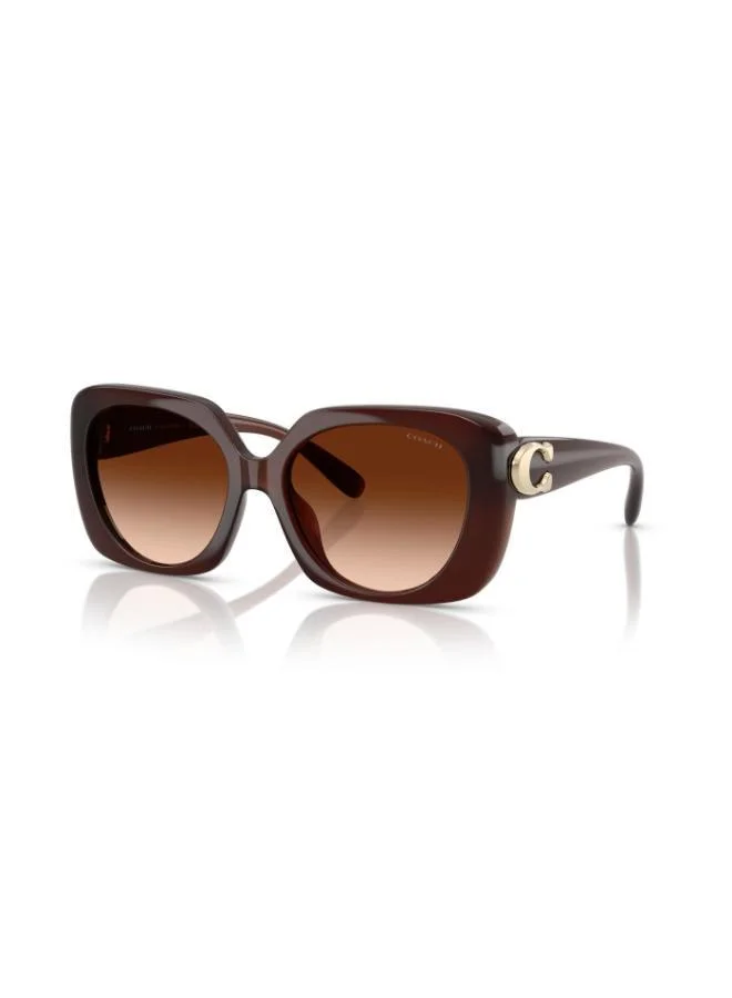 COACH Coach Woman Injected Sunglasses