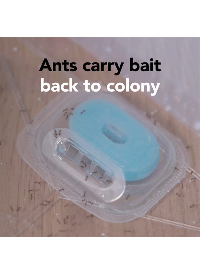 RAID - Max Liquid Ant Bat; Kills Ants Where They Breed, For Indoor and Outdoor Use; 4 Bait Stations - Image 1