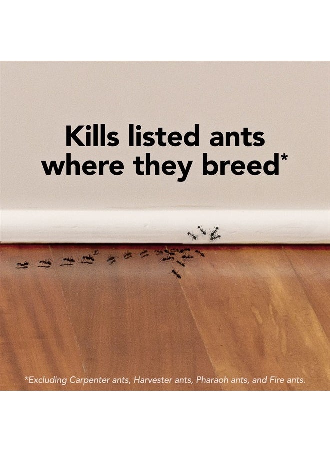 RAID - Max Liquid Ant Bat; Kills Ants Where They Breed, For Indoor and Outdoor Use; 4 Bait Stations - Image 1