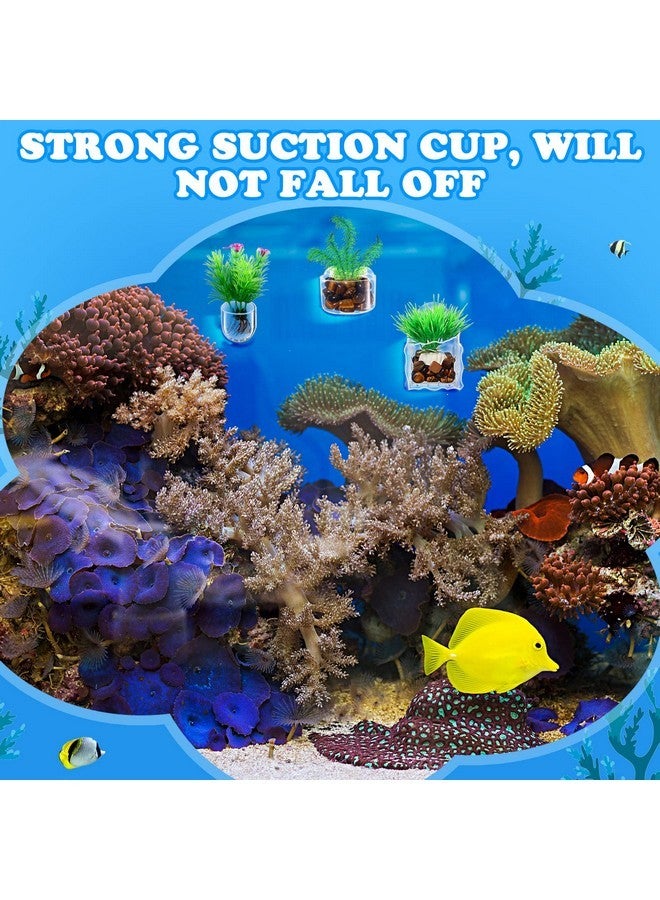 Potchen 20 Pcs Aquatic Plant Cups with Hole Transparent Acrylic Aquatic Plant Pot with Suction Cups Aquarium Aquatic Planter Aquarium Plant Holder Fish Tank Aquascape Decoration, 3 Shapes - Image 5