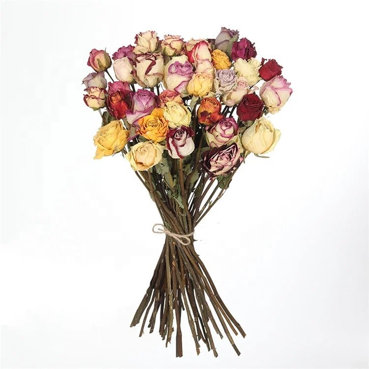 Bluejw M008 Natural Dried Roses Bouquet - Forever Lasting Decor, Real Dry Flowers & Plants Arrangement - Image 3