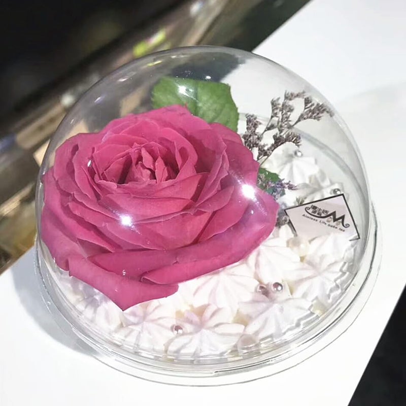 Cabilock Clear Plastic Fillable Ornaments 350ml Cupcake Box 10pcs Mousse Cake Muffin Carrier Acrylic DIY Mother's Day Party Christmas Tree Decorations Dessert Packaging Holder Bakery Food Container - Image 3