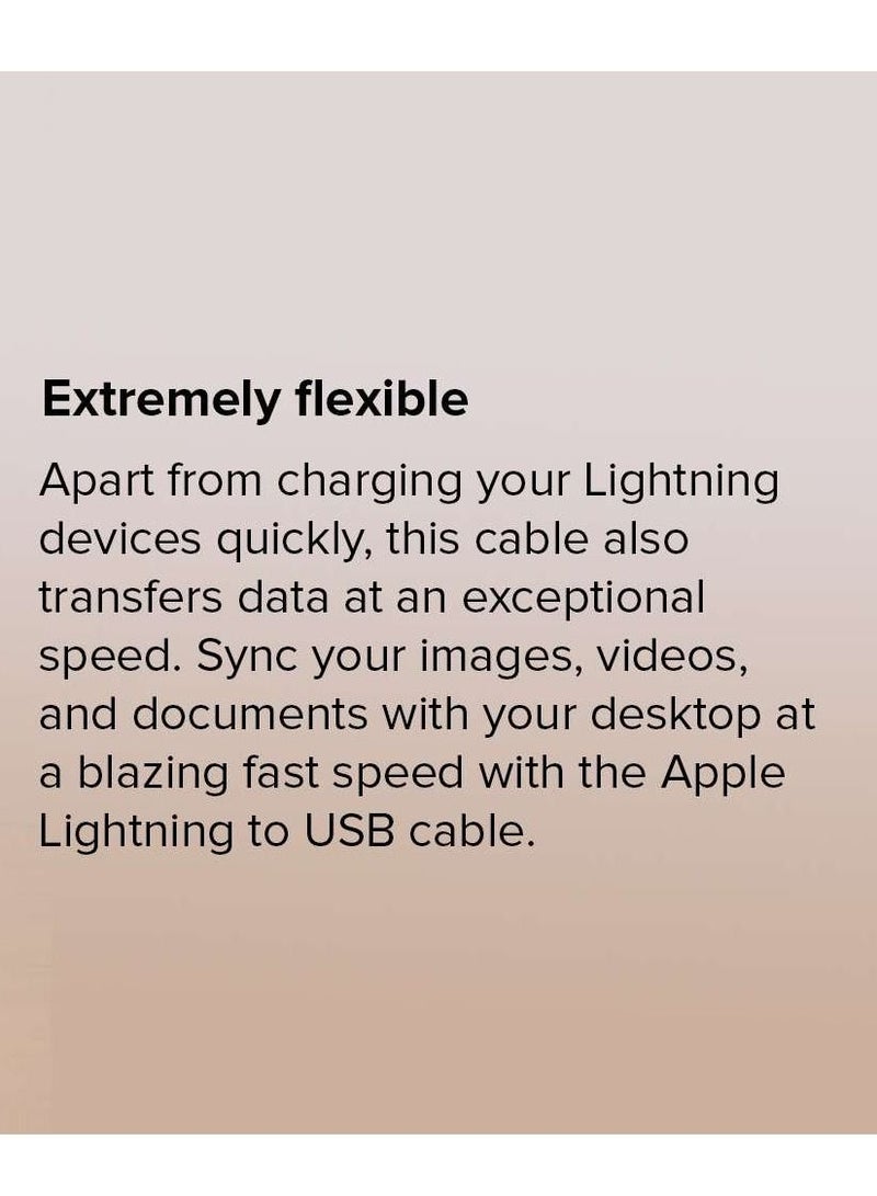 كابل بيانات يو اس بي 8 بين شاحن آي بود لهواتف آيفون 5 / 5S أبيض - Image 4