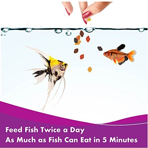 Aquarian Tropical Fish Flakes 50g - Image 4