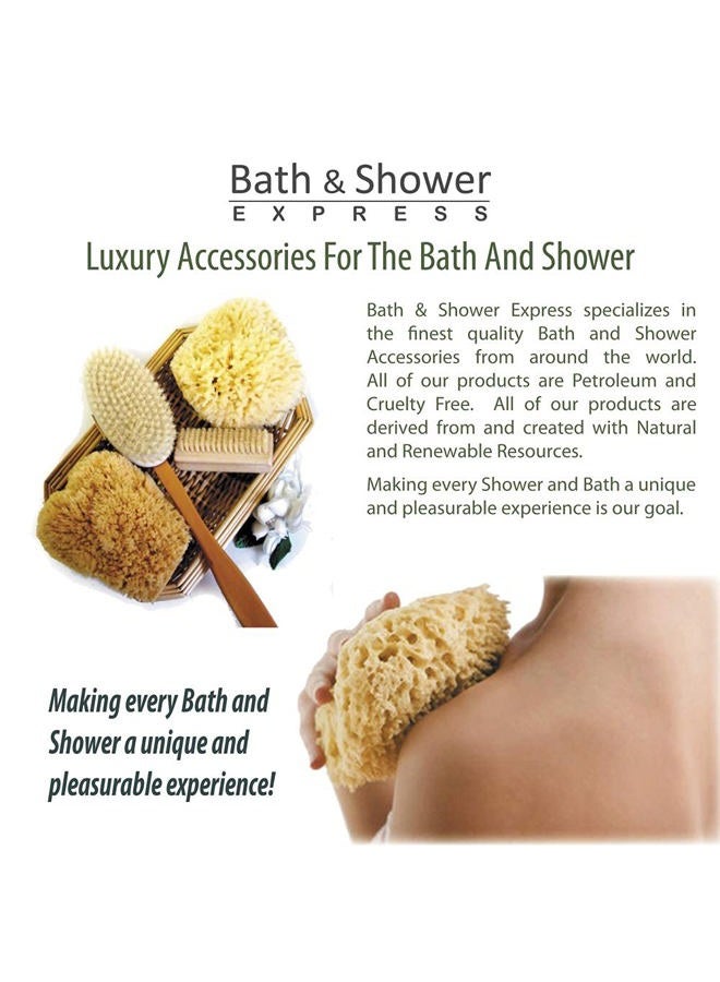 Bath & Shower Express Sea Wool Sponge 4-5" (Small) by Bath & Shower Express ® Natural Authentic Renewable Resource for Women & Men Esponja for Exfoliating and Washing Body - Image 4